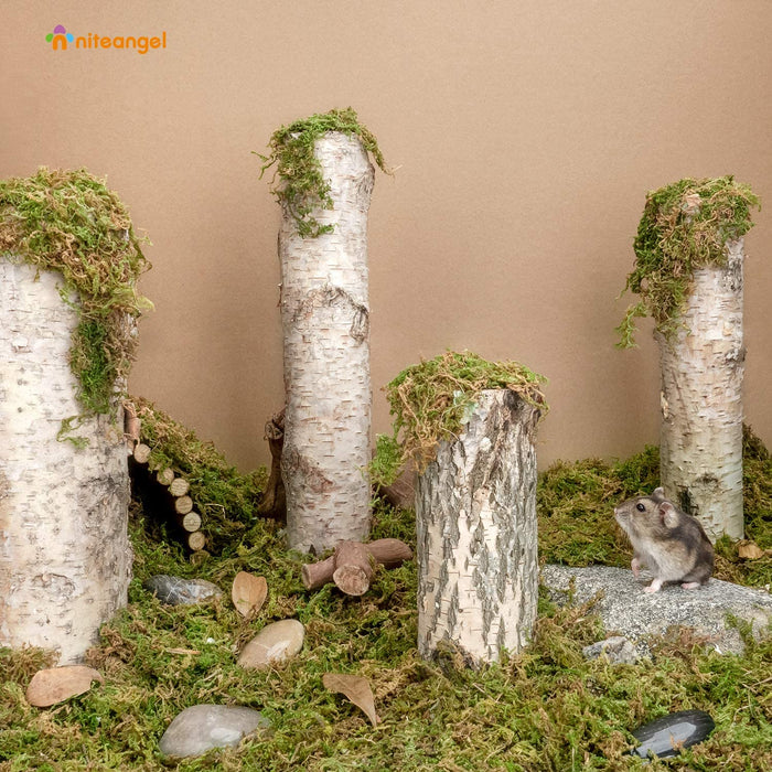 Niteangel Forest Moss Soft Natural Moss Bedding Nesting for Small Pet —  Niteangel Pet